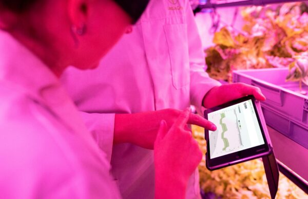 ΑΡΘΡΟ-600-lexeis- καινοτομίες που χρειάζεται μια μεγάλη επιχείρηση-pexels-thisisengineering-3912469