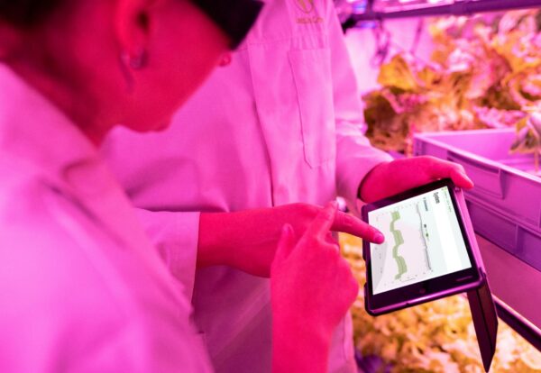 ΑΡΘΡΟ-600-lexeis- καινοτομίες που χρειάζεται μια μεγάλη επιχείρηση-pexels-thisisengineering-3912469 ΑΡΘΡΟ-600-lexeis- καινοτομίες που χρειάζεται μια μεγάλη επιχείρηση-pexels-thisisengineering-3912469