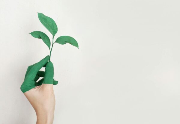 Άρθρο ESG-pexels-alena-koval-233944-886521 Άρθρο ESG-pexels-alena-koval-233944-886521