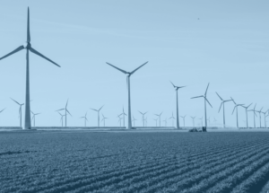 symvouleftiki-prasinis-metavasis